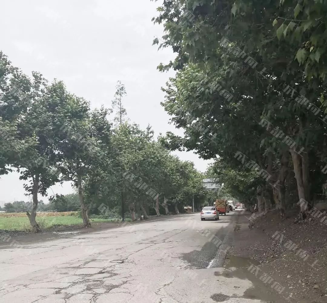 打通断头路小半年后，大源西现在怎么样了？