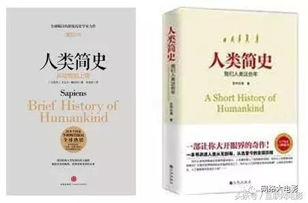 全是山寨产品,全是假货的行业还能做吗