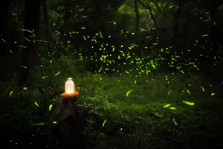 绱㈠凹鍗曞弽鐩告満鍏ラ棬鏁欑▼,绱㈠凹榛戝崱7鐩告満鍏ラ棬鏁欑▼