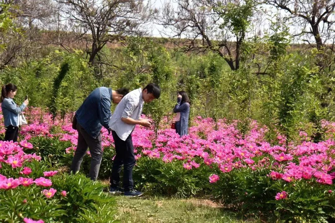 孟津周边一日游的绝佳去处,孟津秋季游必去的地方
