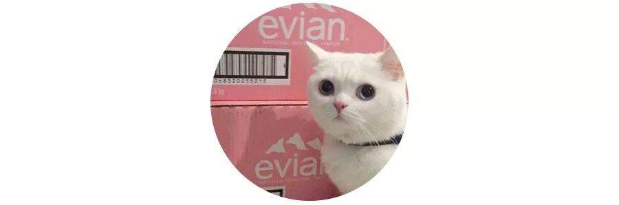 霸气侧漏的墨尔本RMIT大学学生公寓｜初到澳洲