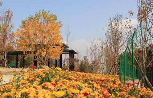 请为西山艺境自卑三分钟