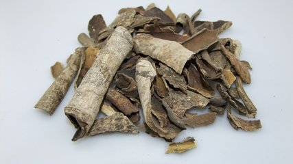 易读错中药名看看你认识几种,16种中药命名