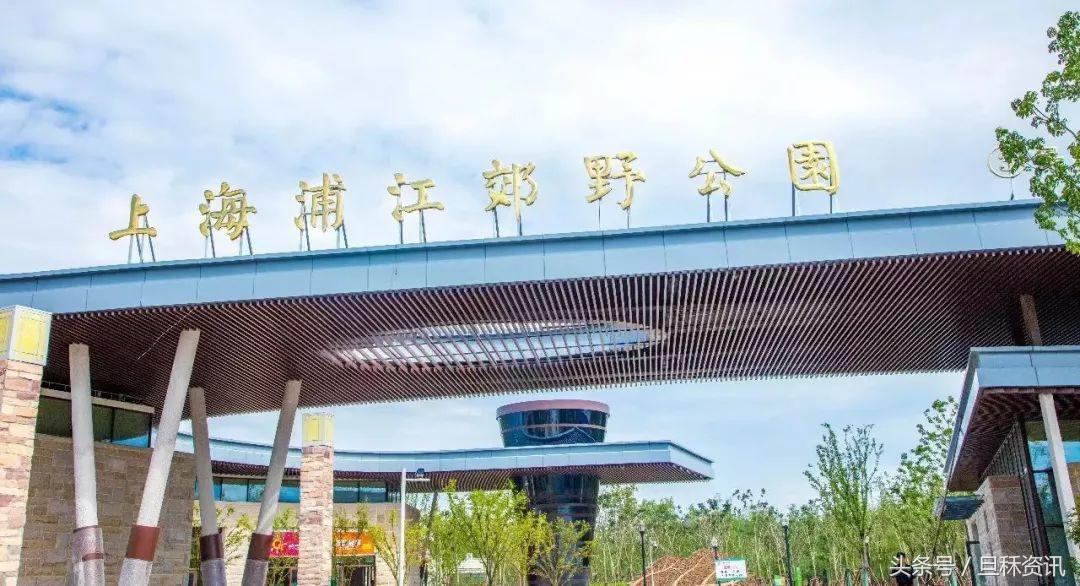 上海人均身价是多少,上海人均身价