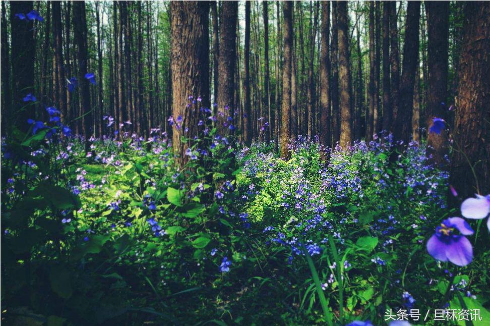 上海人均身价是多少,上海人均身价