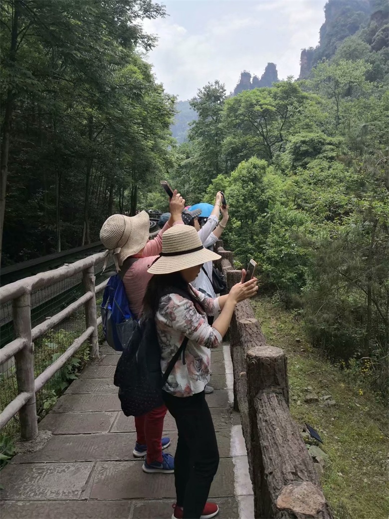 香港人组团游张家界,姐妹相约张家界三日游