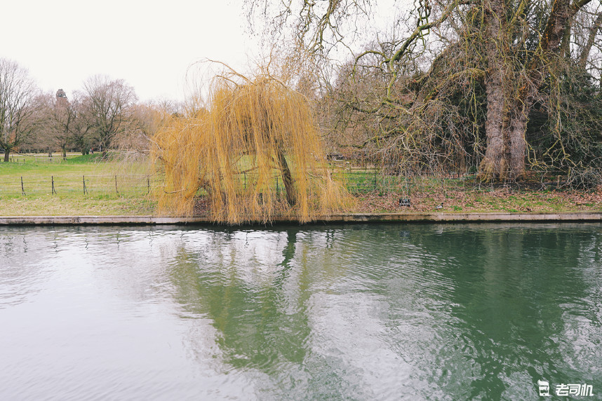 英国剑桥的康桥,英国剑桥大学的康桥
