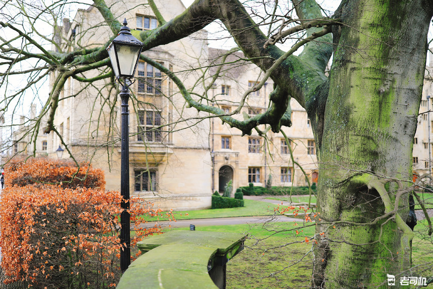 英国剑桥的康桥,英国剑桥大学的康桥