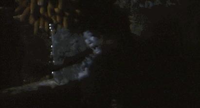 一桩由「处女膜」引发的*案惨**，真实的让人恐惧