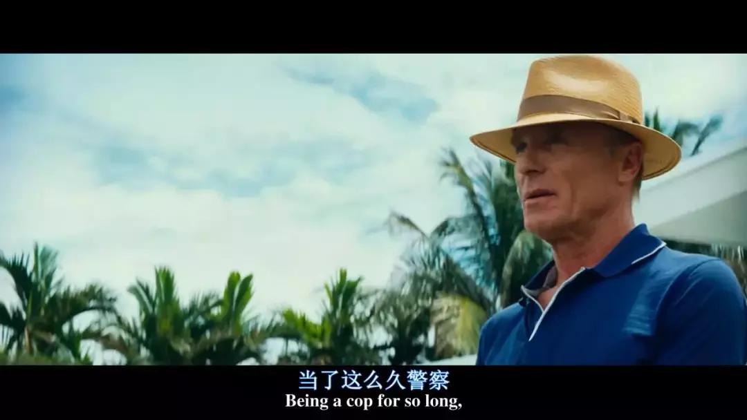 巨石强森犯罪片,巨石强森经典犯罪片