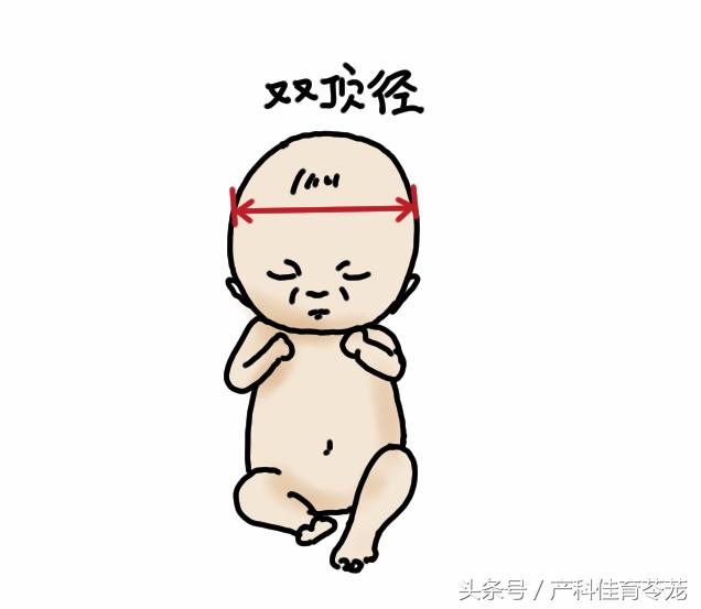 孕期B超数据准确吗,b超医生说的数字