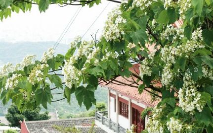 福州2022年5月赏花攻略,福州春季赏花胜地