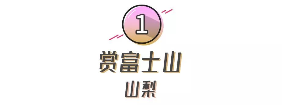 怎么找靠谱的日本代购,日本代购有哪些比较靠谱的