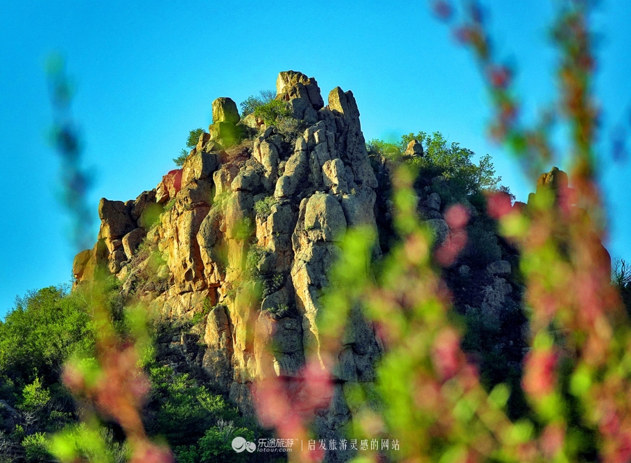 周总理关注的“辽西绿岛”已是天然氧吧