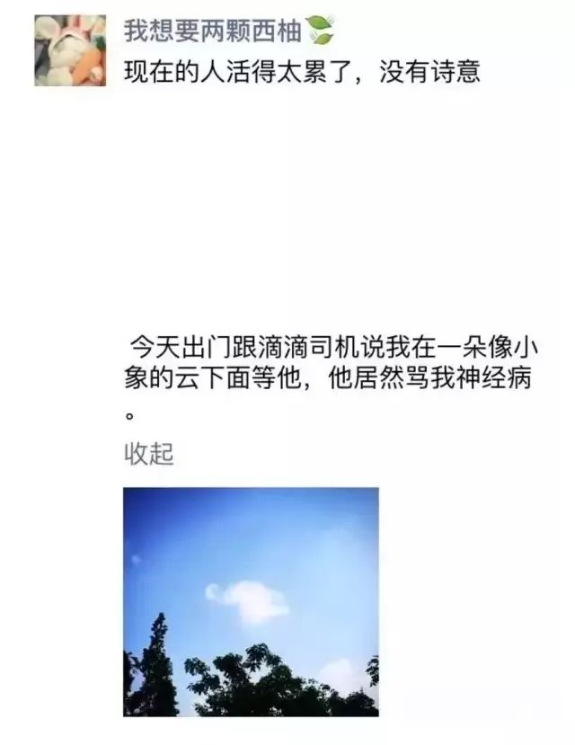 朋友圈截图哈哈哈哈笑到窒息了,笑出腹肌的朋友圈