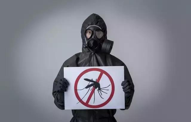 天热驱蚊虫方法,天气热如何消灭蚊子