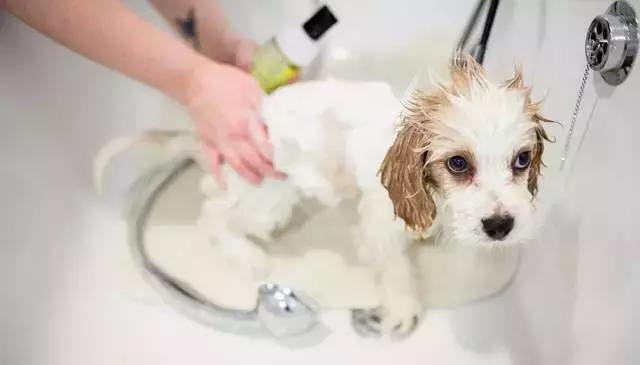 天热驱蚊虫方法,天气热如何消灭蚊子