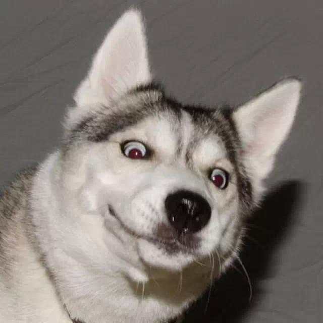 王铮亮后台采访谈真实梗,王铮亮发表声明