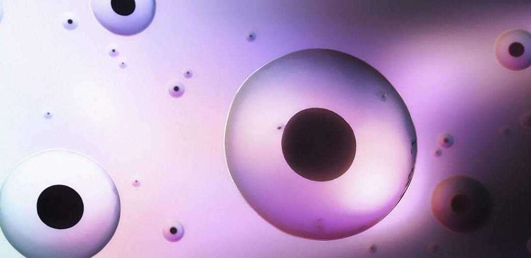 乌克兰胚胎干细胞治疗机构,乌克兰胚胎干细胞