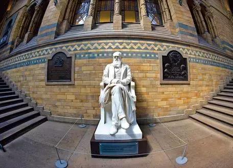 乐享全民刷馆｜跟罗熹去英国自然历史博物馆