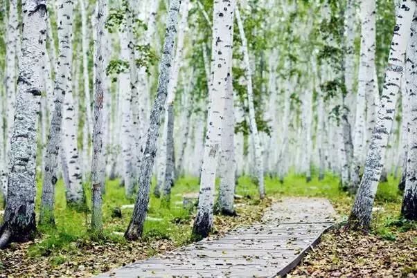 呼伦贝尔自驾游团购,呼伦贝尔团游4天3晚团购