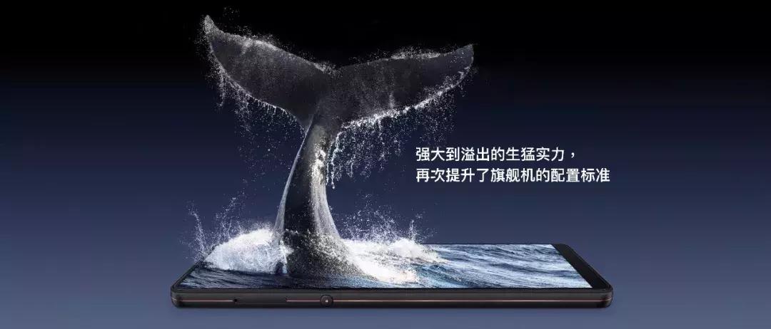 锤子科技鸟巢发布会现场,锤子科技鸟巢发布视频