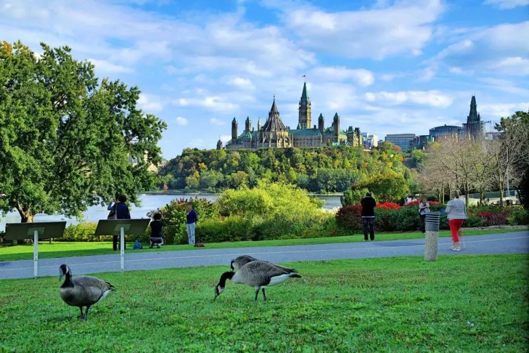 父母去海外长居注意事项,父母可以去海外长居吗