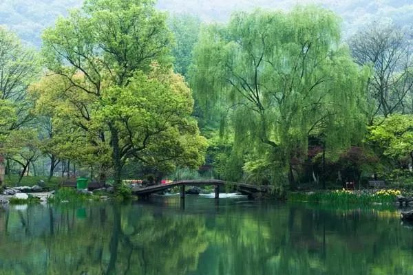 「诗词原创」聂双|春波碧草娇红媚燕语莺言意挽归