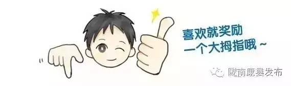 村巩固脱贫攻坚成果问题整改方案,他山之石脱贫攻坚