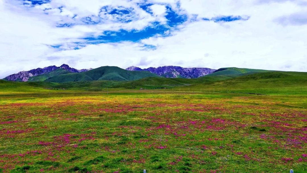 连绵的群山、广袤的草原、蜿蜒的河流……它就是独一无二的若尔盖