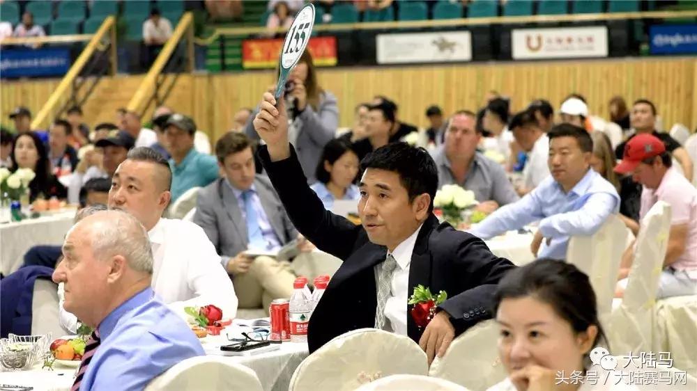 均价超30万，总成交价1300万！半数新马主成玉龙纯血马拍卖会主力