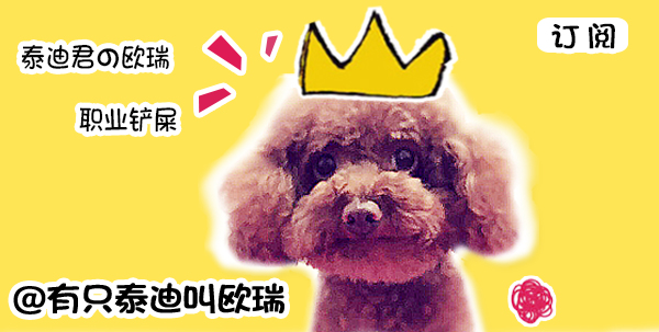 猫咪鼻子一直干燥正常吗,猫咪鼻子总干