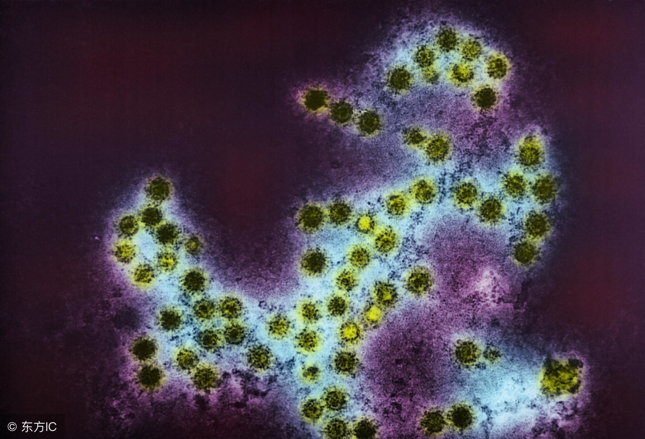 非感染性心肌炎的病因有,诱发心肌炎常见病因