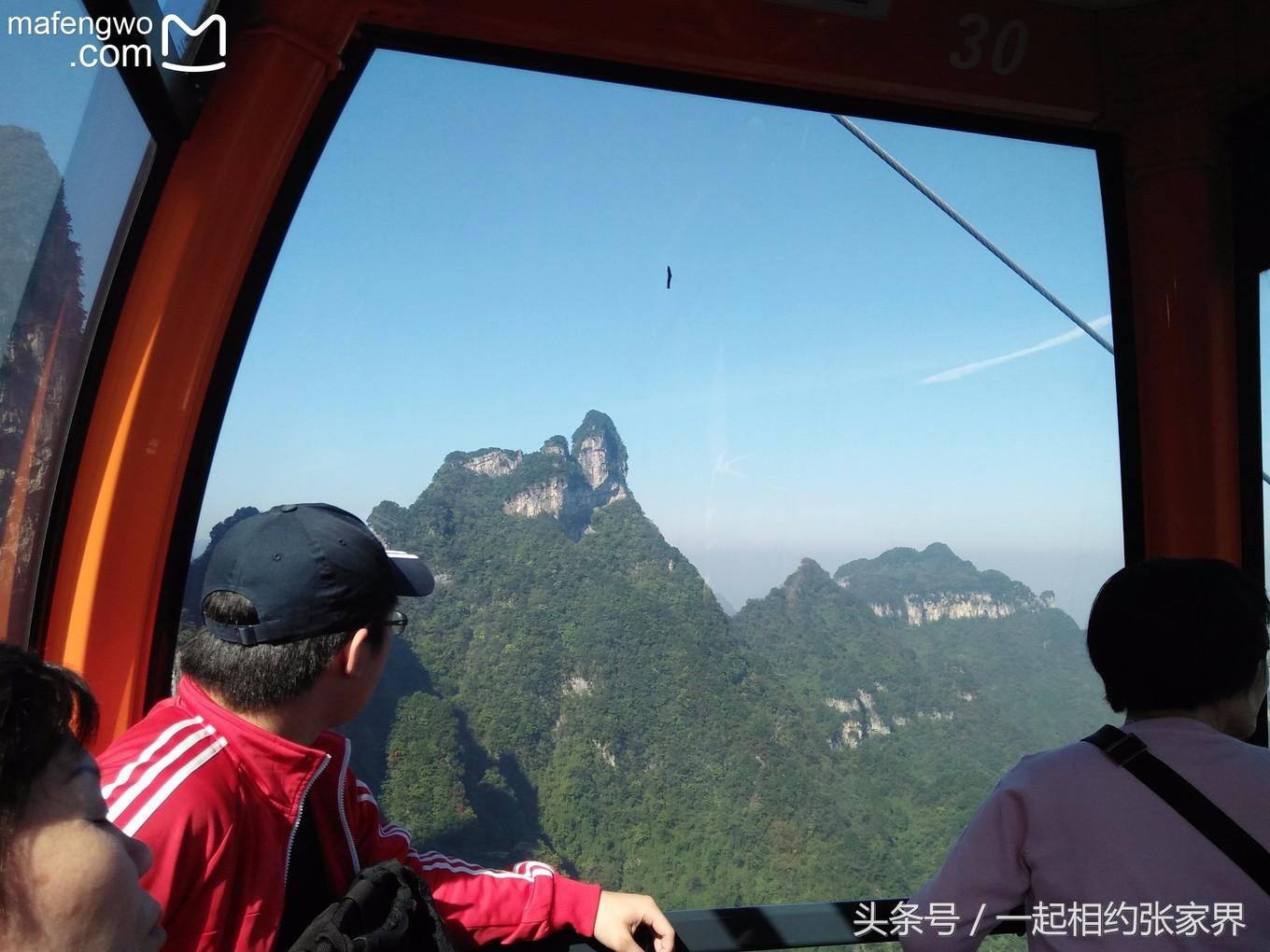 张家界机场到天门山自由行攻略,张家界天门山一日游攻略省钱