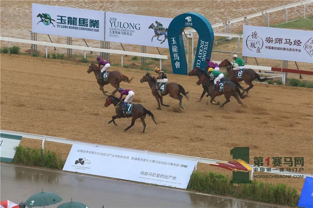 「现场」玉龙今日开锣赛，各路诸侯鏖战百万奖金！马主李勇夺最高奖金，“吉祥如意”马主王福军首战载誉归——1赛马网
