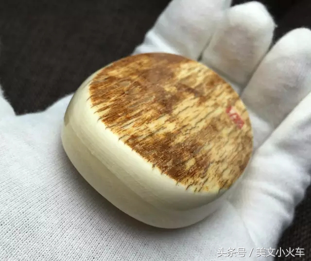 一起探秘猛犸象牙,最完整的猛犸象牙