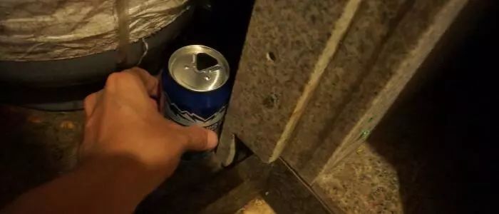 我竟然给蟑螂买了一套房子并请它喝了一罐哈尔滨？