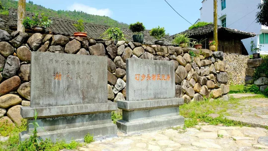 提到浙江会想起什么,提到浙江你最先想到什么