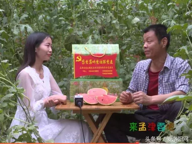 孟津最好的草莓采摘地点,冬季孟津采摘园