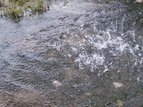 大到暴雨局地有雷暴大风,大到暴雨伴雷暴大风