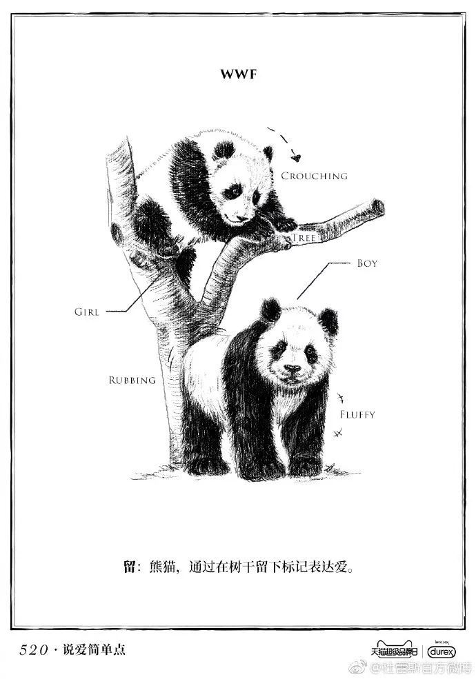 杜蕾斯文案为什么接地气,杜蕾斯评论区文案