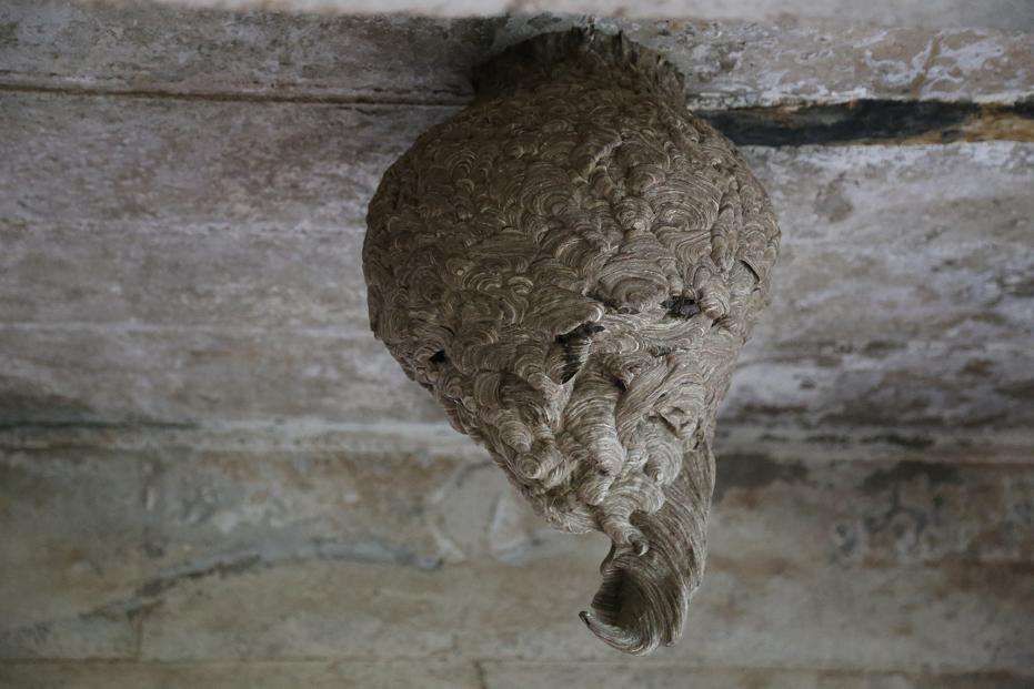 童年抓虾摸鱼趣事,童年抓鱼挖泥鳅