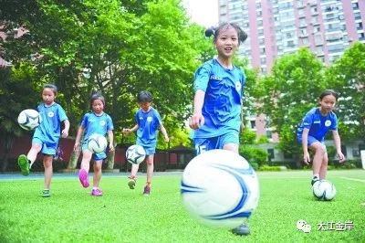 江岸区厉害的小学,江岸区堤角小学