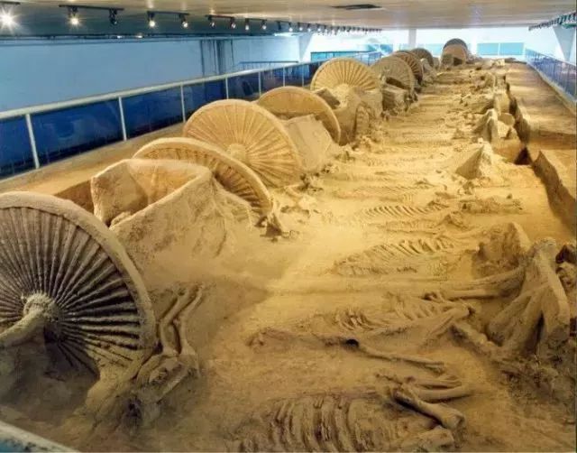 济青高铁开通视频,济青高铁青岛机场站