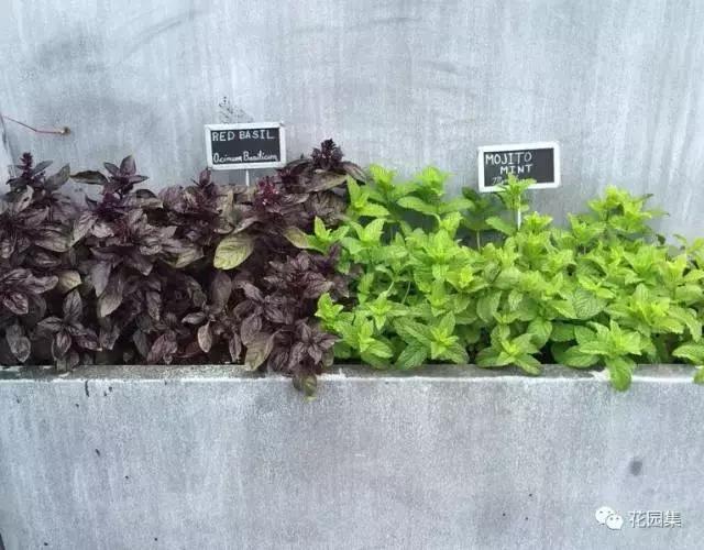 抑郁症疗愈花园,抑郁情绪疗愈法