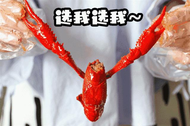 厦门这家专做小龙虾的店为女生研发了鲜肉版龙虾~