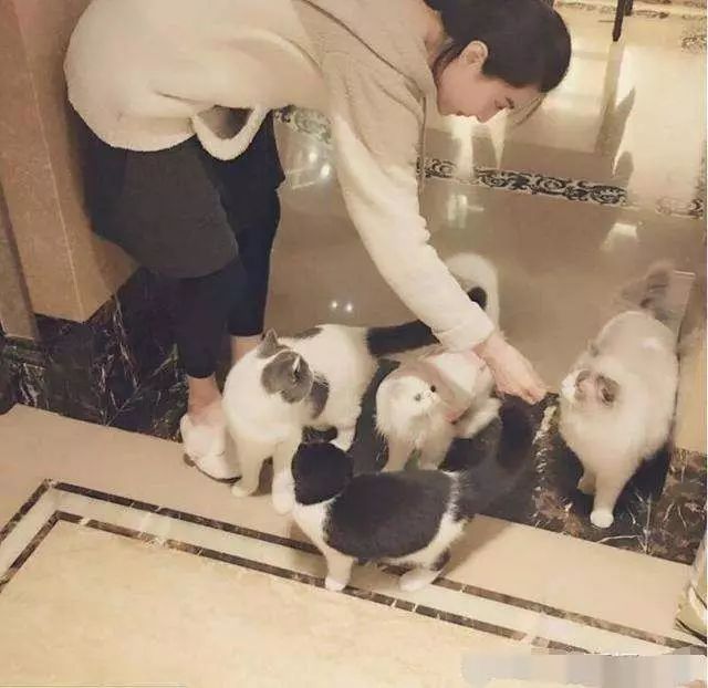 李晨送范冰冰的礼物,李晨送给范冰冰什么礼物