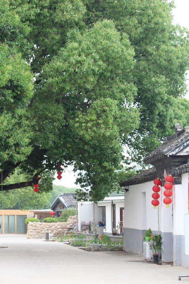 雪浪山花海几步之遥，藏着一个可骑马飚车还风景如画的山庄