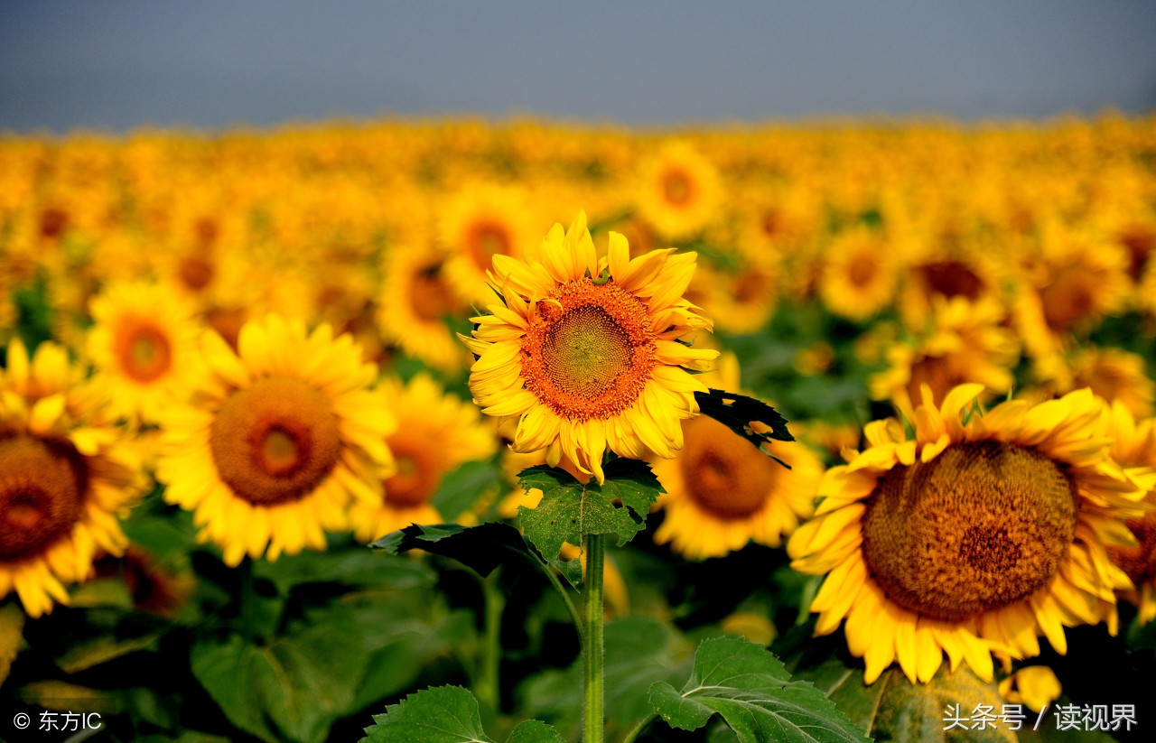 痛苦可怕吗,痛苦为什么放不下