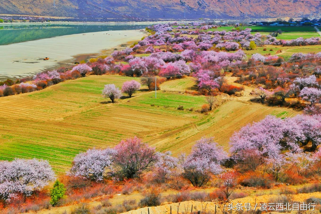 行，为寻三生三世桃花，却爱上了*藏西**的那抹蓝